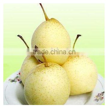 Fresh Ya Pear China