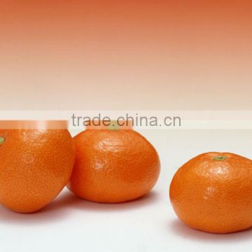 New arrival!nanfeng baby Mandarin with high quality and competitive price