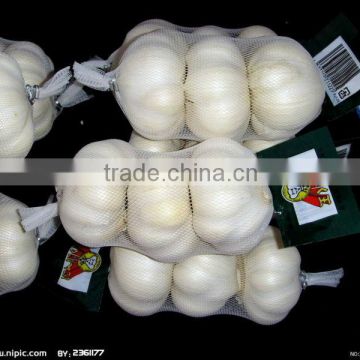 chiness natural garlic