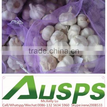 chinese fresh natural garlic