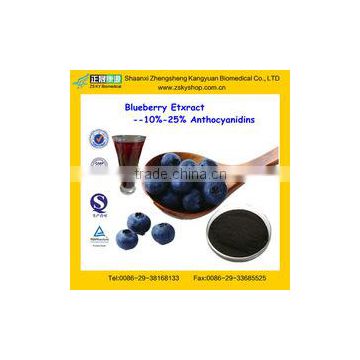 GMP Manufacturer Supply 100% Pure Blueberry Extract Powder with Anthocyanin