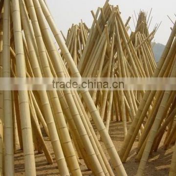 construction building material bamboo