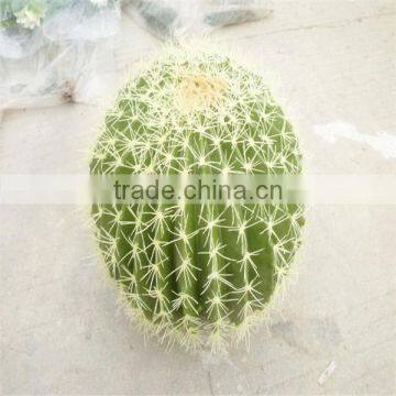 SJM091043 Guangzhou wholesale 100% natural hoodia decoration artificial cactus P.E. /prickly pear plant
