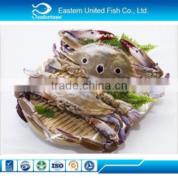 Seafood Export Wholesale Three Spot Crab