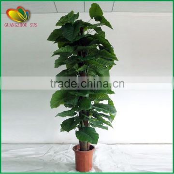 hot new products for 2015 factory Wholesale cheap indoor decorative artificial mini bonsai plants for home decoration