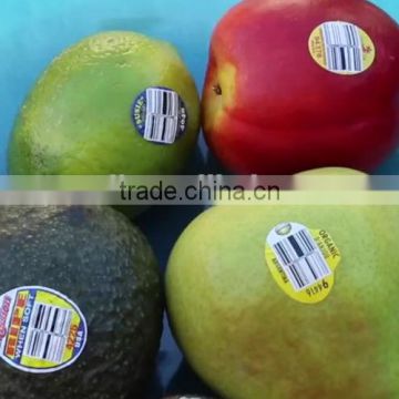 High quality custom adhesive fruit label stickers