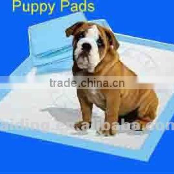 hot sale 60x60 cm puppy dog training pad