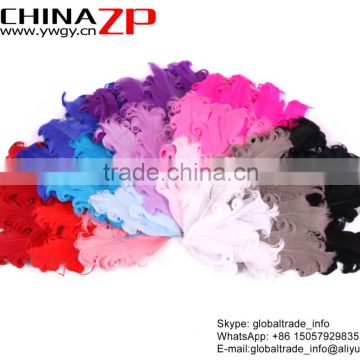 ZPDECOR Factory Wholesale Special Quality Colored Ombre Collection Curled Goose Feathers Pad Plumage Craft for Hair Accessories