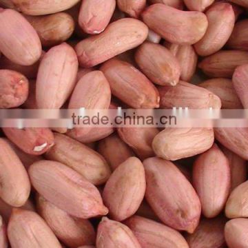 peanuts in shell and peanuts kernel of shandong