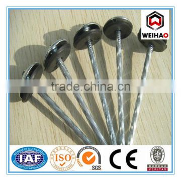 Factory price of Umbrella Nails Suppliers in China