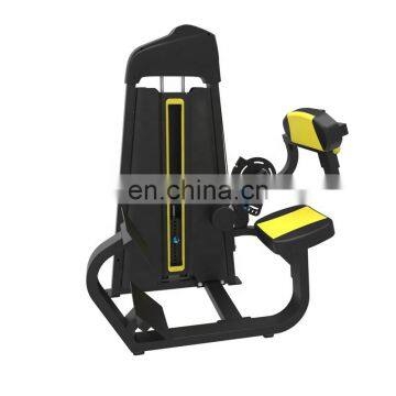 shandong commercial fitness equipment back extension