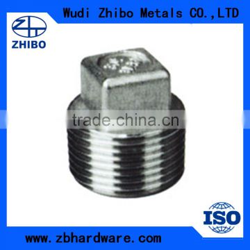 Round Shape and Cap Type Stainless Steel Bull Plug Square Plug Pipe Fitting Made in China