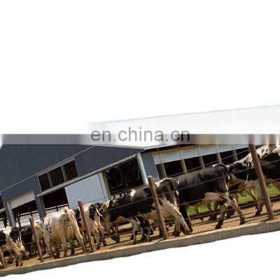 low cost farming building light weight prefabricated steel structure cowshed