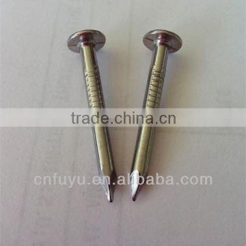 zinc plated clout nail for ceiling factory of linyi shandong