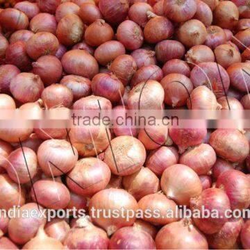 Onions in bulk