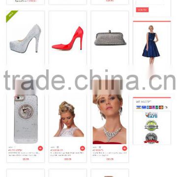Online Shopping Store/Ecommerce Web store - Website Design and Development Services