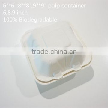 Eco Friendly Sugarcane Bagasse Biodegradable Pulp Food Clamshell Box