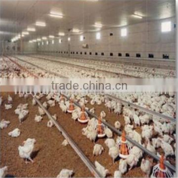 layer poultry farms