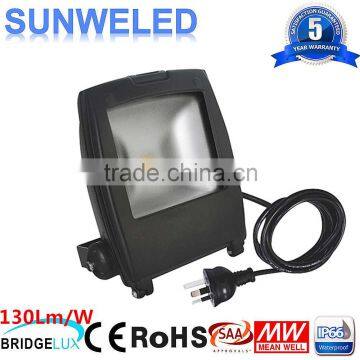 20W Portable LED Penguin Flood Light led 10w 30w 50w 70w 80w 100w