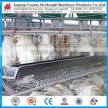 hot sale automatic chicken layer cage price / chicken layer cage / automatic chicken layer cage for sale in philippines