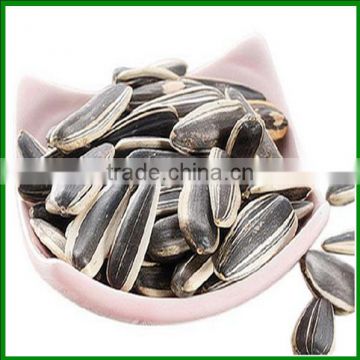 Sale High Quality And Inexpensive Raw Sunflower Seeds 5009 In Bulk