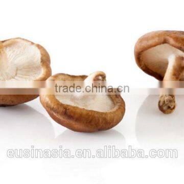 dry smooth cap shiitake mushroom