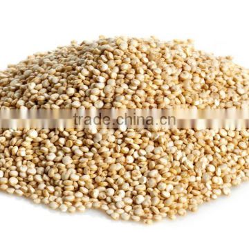 Bulk Availability of White Quinoa Seed