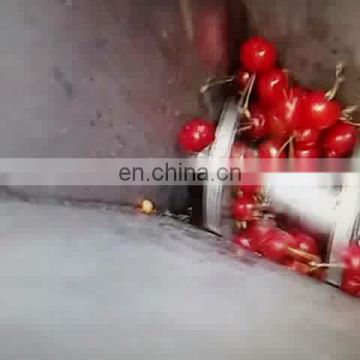 Double Screw Fruit Juicer Grape Press Machine