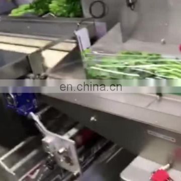Chinese factory ziplock packaging machine