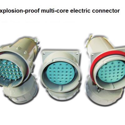 Explosion-proof multi-core electric connector