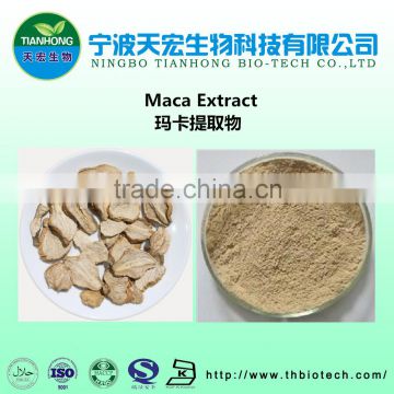 bulk production of maca powder with great stock
