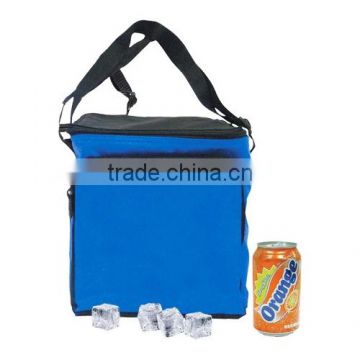 12 Pack Insulated Cooler
