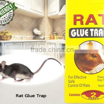 Rat Glue Trap HD037120