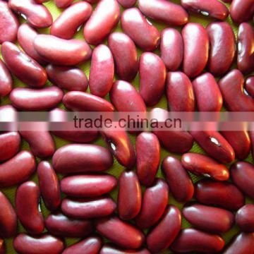 British Red Kidney Beans Long shape
