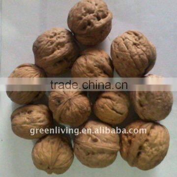 China walnut walnuts for sale