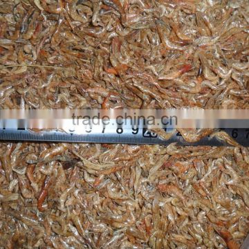 Shrimp exporters top quality sun dried shrimp