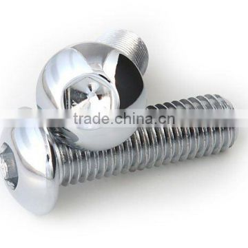 Stainless steel hex socket cap screw