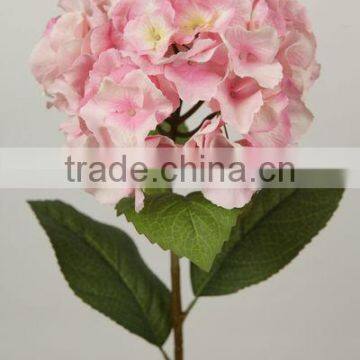 stable supplying factory variegate color flower in glass tube