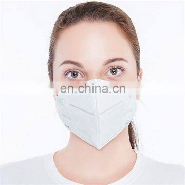 High Quality Non-Woven Fabric PP PVC Customized Printed Dustmask