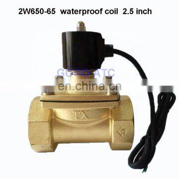 2.5 inch waterproof solenoid valve 2W650-65 underwater jump spring solenoid valve full copper  gas valve DN65