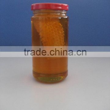 453g honey syrup with comb