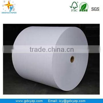 Food Grade pe Coated Paper Cups Paper Roll