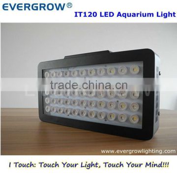 Evergrow IT2040 programmable wireless remote control aquarium dimmable led light with natural sunrise