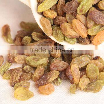 2015 xinjiang Turpan green raisins dried grapes