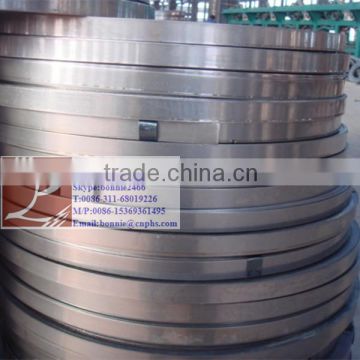 Hot dipped galvanized Iron hoop(factory & trader)