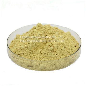 Factory Direct Sale Scutellaria Baicalensis Root Extract 80% Baicalin