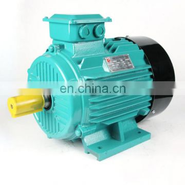 three phase AC asynchronous industrial electric motor/electromotor