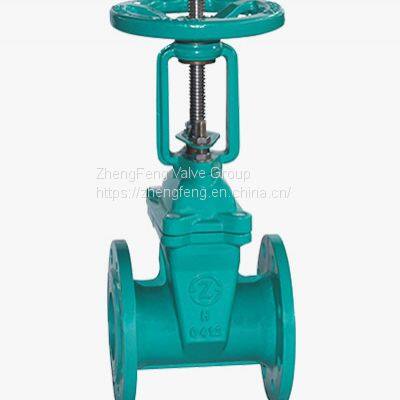 Ductile Iron Gate Valve