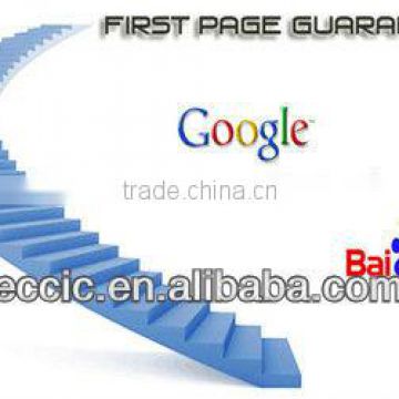 site seo professional company in China ECCIC Org.
