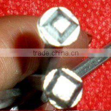 40mm E.G.Square Boat Nails With High Quality